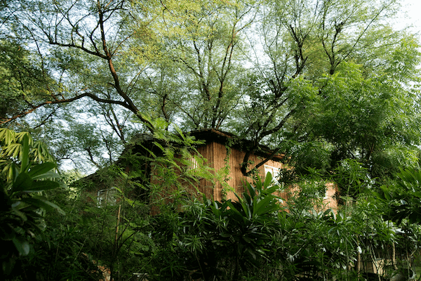 Tree-House-Resort(1)
