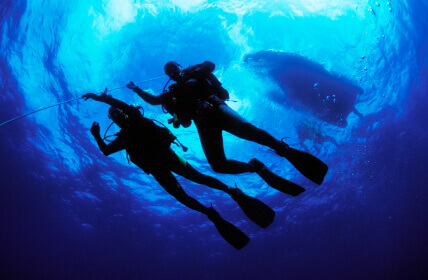 Real life Sea Diving 