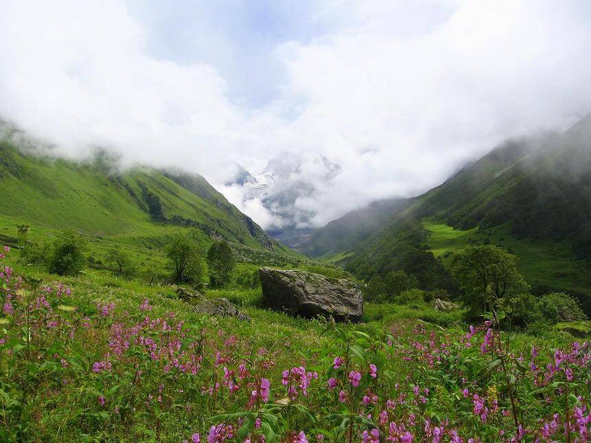 Valley_of_flowers